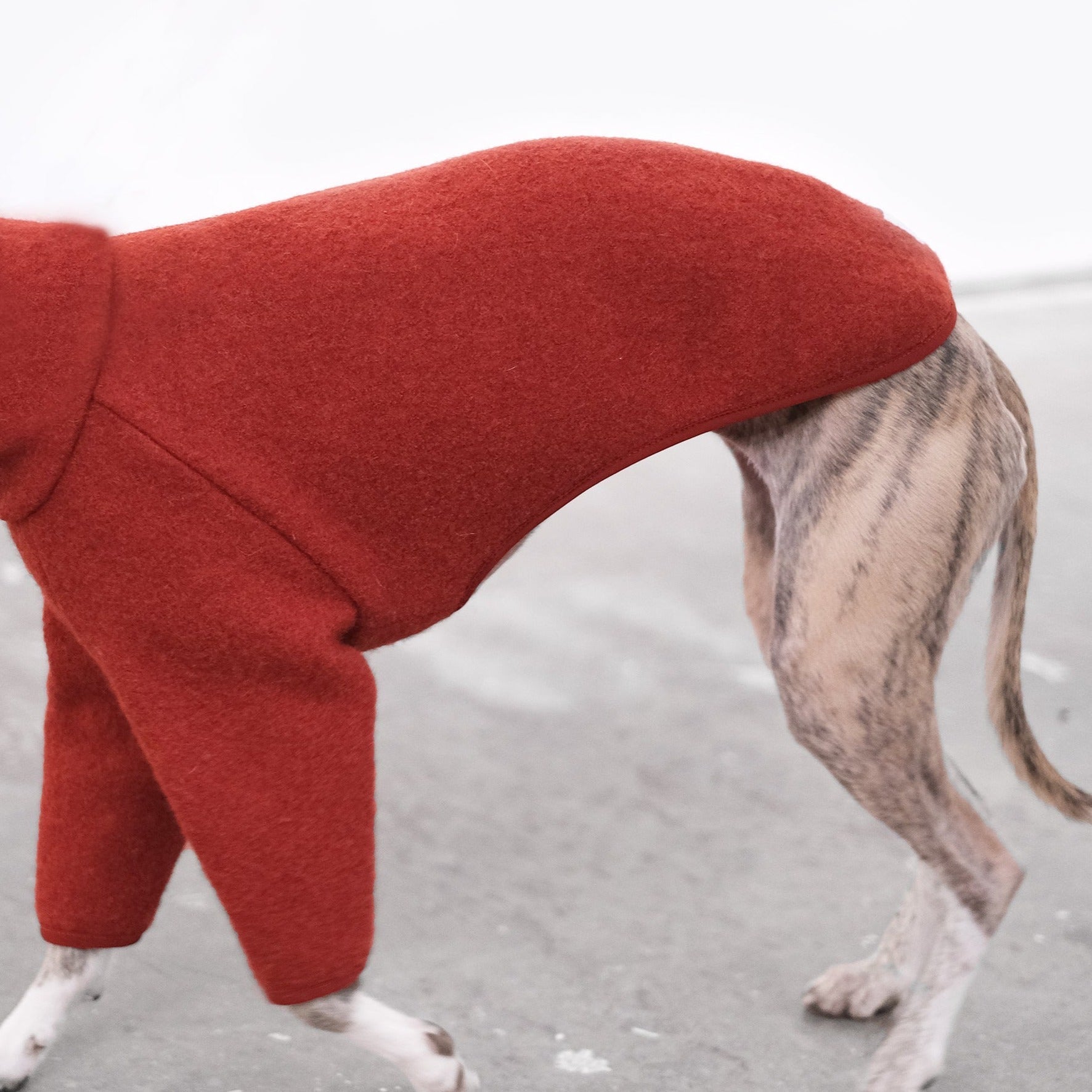 Abrigo Whippet Naranja oscuro